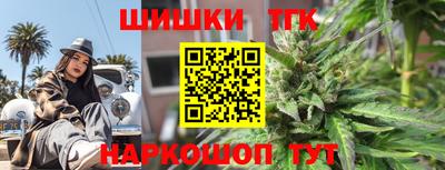 стаф Дубна