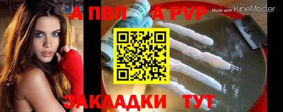 стаф Дубна
