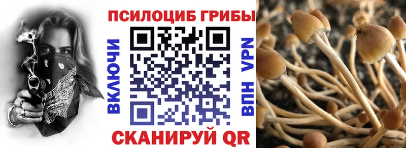 Псилоцибиновые грибы Psilocybe  Нововоронеж 