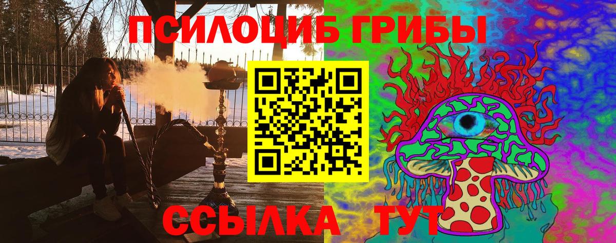 Галлюциногенные грибы прущие грибы  Вход с VPN  наркошоп  Галлюциногенные грибы прущие грибы  Нововоронеж 