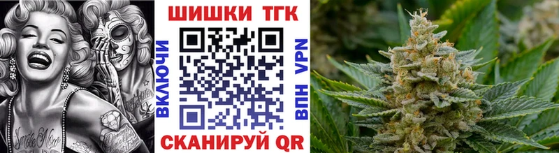 купить наркоту  Нововоронеж  mega зеркало  Бошки марихуана тримм 
