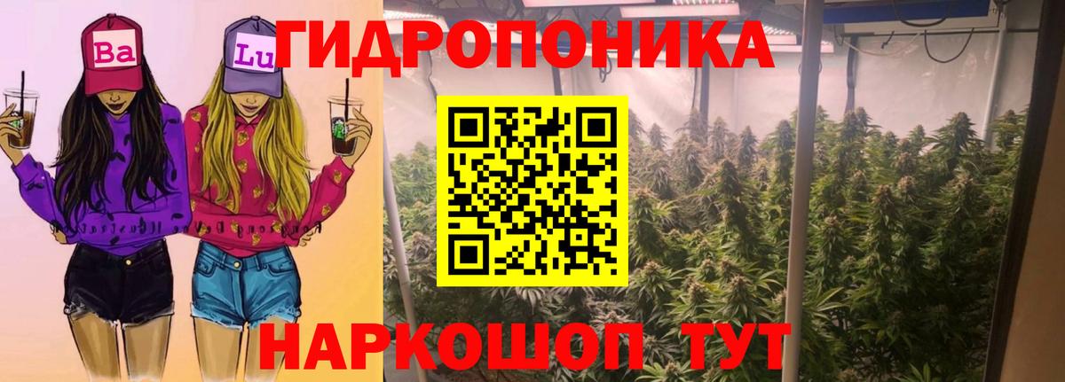 Конопля тримм  Вход с VPN  Нововоронеж  Марихуана Bruce Banner  Бошки марихуана план 